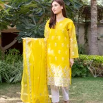 3 Pc unstitched embroidered organza