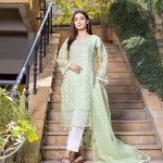 3 Pc unstitched embroidered organza