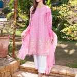 3 Pc unstitched embroidered organza