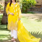 3 Pc unstitched embroidered organza